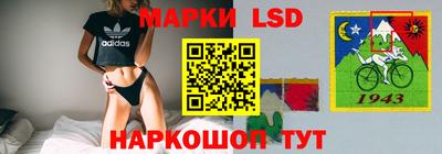 СК Заводоуковск