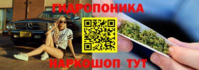СК Заволжье