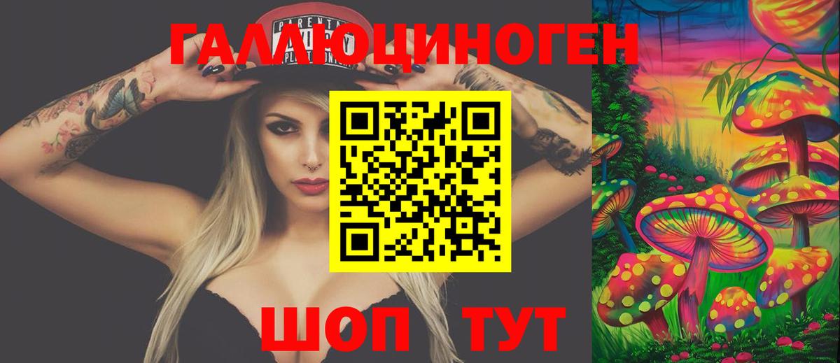 Можайск  что такое   Вход с VPN  Псилоцибиновые грибы Psilocybe 