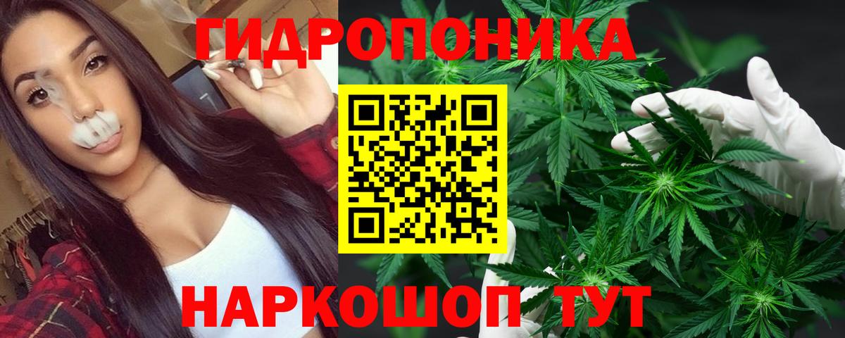 Канабис гибрид Можайск